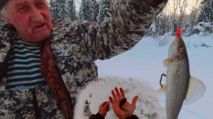 И снова рыбалка на ХАРИУСА! Ловля ХАРИУСА зимой! В поиске рыбы на таёжной реке, Республика Коми!