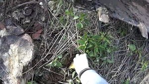 Глиночурка. Подготовка участка. Фундамент