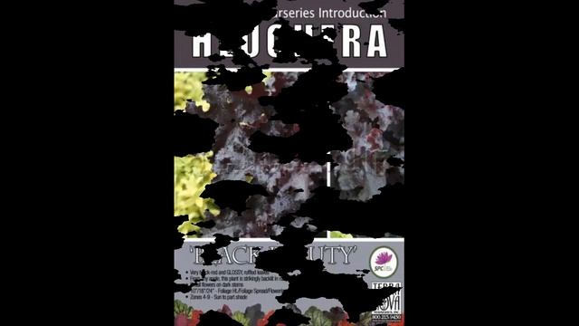 #Многолетники7 #Гейхеры1 #Цветы для сада и бизнеса от Ольги Шевчук смотреть онлайн