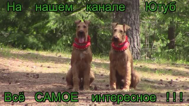 НАШ канал РУТУБ