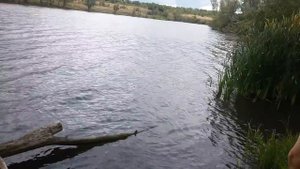 Ловля рака сентябрь