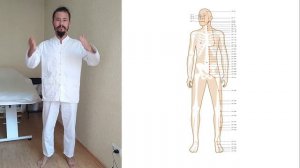 Как прохлопать меридиан желудка