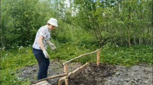 Посадила рассаду капусты🥬