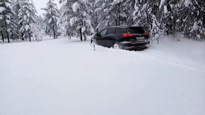 Калдина гт фор