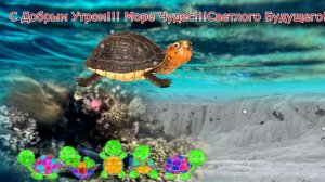 Открытка с Добрым утром.