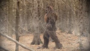 Жуткие встречи с Йети:СВИДЕТЕЛЬСТВА ОЧЕВИДЦЕВ Ч.1.