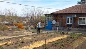 Обработка деревьев Karcher