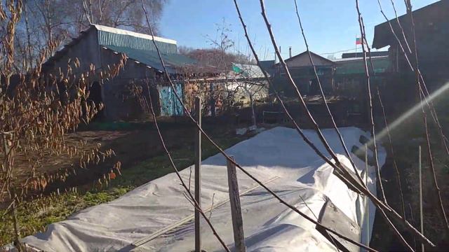 30.10.21 замотала груши на зиму. смотреть онлайн