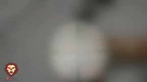 Оптический прицел Leapers 4-16x40 Full Size (SCP-416AOMDLTS)(Видео-Обзор)