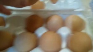 Яйцо от кур молодок породы Адлерская серебристая Вес и размер яйца