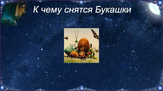 К чему снятся Букашки (Сонник) смотреть онлайн