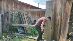 Строим высокий забор из старых досок! Забор своими руками! Загораживаем выгул для кур!