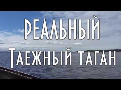 РЕАЛЬНЫЙ таежный таганок МЕГА РАЗМЕРА
