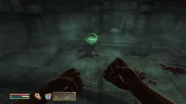 Oblivion Hand to Hand Illusionist Build Combat: Wraith vs Undead Blade finished off my moi! смотреть онлайн