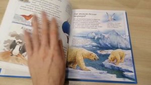 Обзор книги энциклопедия для любознательных "Отчего и почему?"