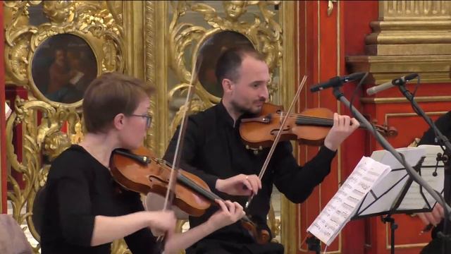 Класика в Андріївській. Contrabass & Co смотреть онлайн