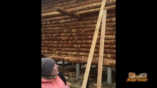 ДомБаня78 отзыв сруб дома 6х8м, в лапу, из окоренного бревна, 1.5 этажа смотреть онлайн