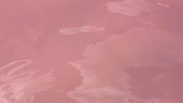 Малиновое озеро в Алтайскрм крае Михайловском районе. Солёное озеро на Алтае.