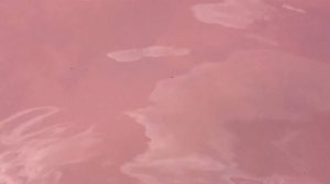 Малиновое озеро в Алтайскрм крае Михайловском районе. Солёное озеро на Алтае.