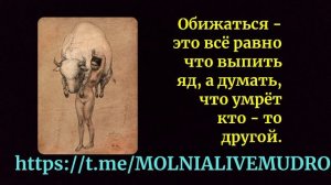 Шикарная сказка про Обиду .
— Обида — это такой маленький и очень симпатичный зверек.