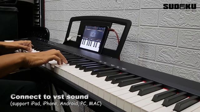 Sudoku Seiko Gen 2 stage/digital piano connect to VST sound (support iPad, iPhone, Android, PC, Mac смотреть онлайн