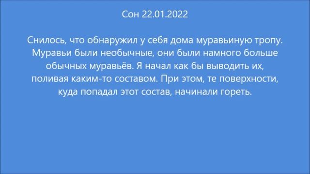 Сон: Муравьи (22.01.2022) смотреть онлайн