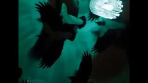 Susanne Sundfør - Father Father
