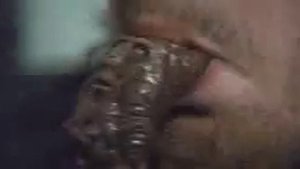 Говно в унитазе