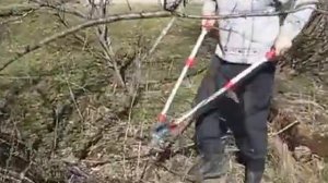 Mr Logo. Профессиональный сучкорез