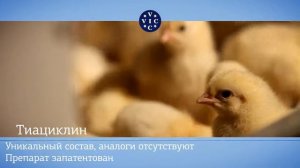 Тиациклин: защита от бактериальных инфекций у сельскохозяйственных животных