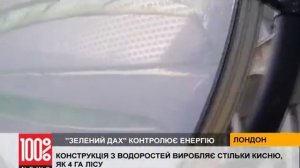 Конструкция из водорослей производит кислород как 4 га леса