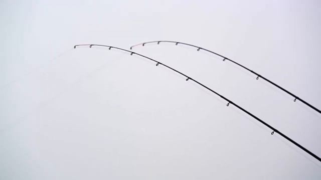 Зимний фидер на Москва реке смотреть онлайн