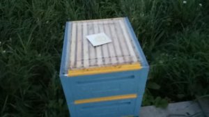 Откачка меда Часть вторая Медогонка Медуница Комби 4