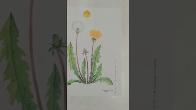 заучивание стихотворения Одуванчик смотреть онлайн