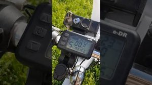 модели рикши нового поколения 2022г