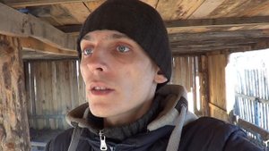 Что выгодно? быки и коровы или птица .наш опыт - Лпх Дом Велеса - жизнь за городом
