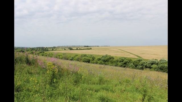 Синявино и окрестности