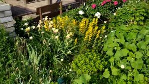 Будни дачника.