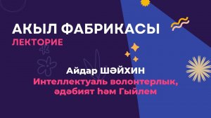 Интеллектуаль волонтерлык, әдәбият һәм гыйлем