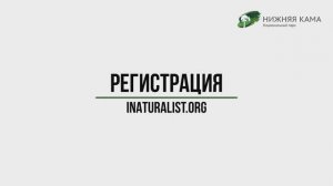 Регистрация на inaturalist.org