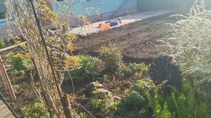 Тэг"Моя любимая дача!"