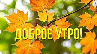 Хорошего дня! Музыкальная открытка хорошего дня