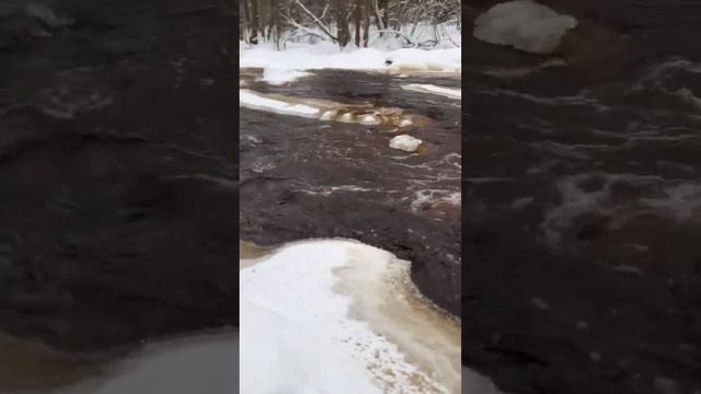 МАТУШКА ЗЕМЛЯ. ЛИНДУЛОВСКАЯ РОЩА. ЛЕНИНГРАДСКАЯ ОБЛАСТЬ.