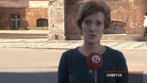 Ремонт домов в Советске