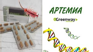 Артемиа. Гринвей.mp4