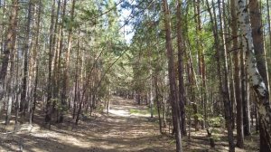 Возвращаемся с Прямой Пристани
