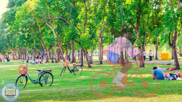 Hikayelerle İngilizce Öğren 8 | In The Park | Present Continuous Tense | A1 Listening Practice |