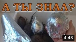 Как хранить СВЕКЛУ зимой, чтобы не завяла?