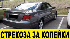 Купили Toyota Camry XV30 за пол цены на перепродажу / We bought a Camry for half the resale price