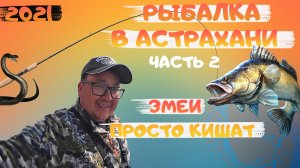 Рыбалка в Астрахани на реке Ахтуба. fishing. Рыбалка 2022. Судак на джиг 2021. Воблер. Часть 2